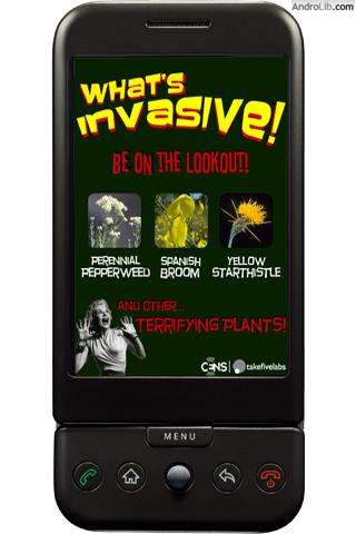What's Invasive!