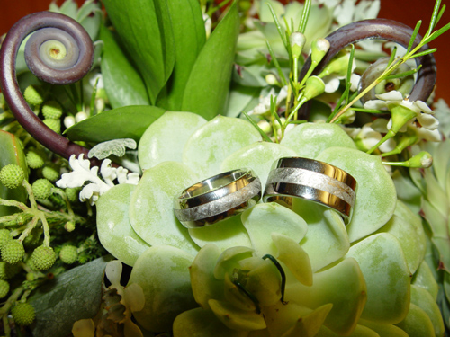 Titanium Rings with Meteor Inlay