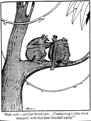 [Image: JaneGoodallFarSide.gif]