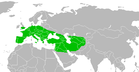 A map depicting the range of the extinct Homo neanderthalensis