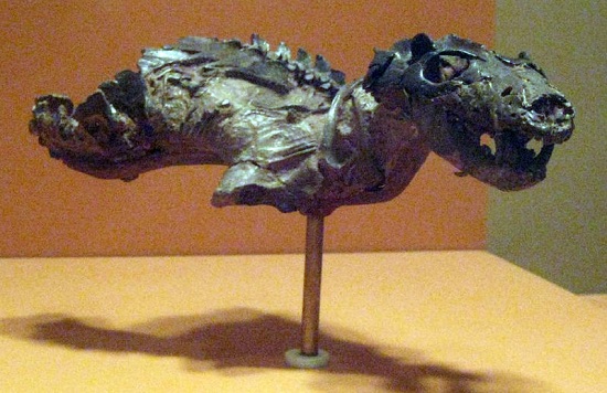 Thrinaxodon Lionhinus