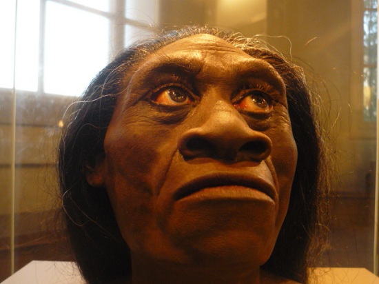 Homo floresiensis - reconstruction