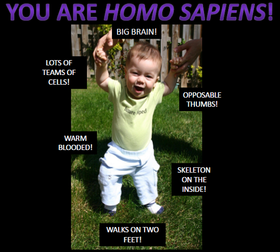 Sagan is a Homo Sapiens