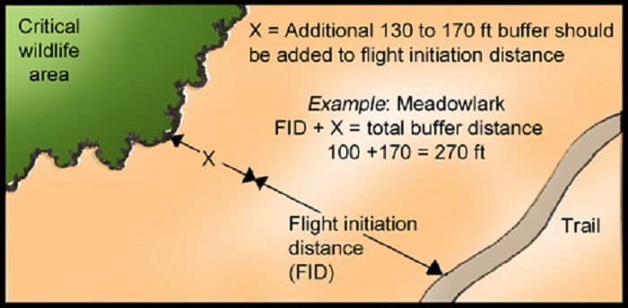 Flight initiation distance (FID) buffer from critical wildlife area
