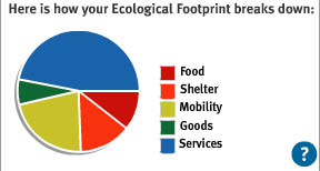 Breakdown of Ryan Sommas Ecological Footprint