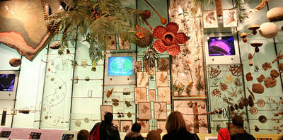 Hall of Biodiversity