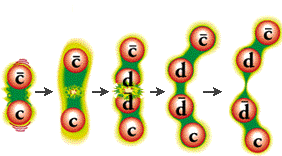 Two new quarks form and bind to the old quarks to make two new mesons.