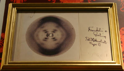 Rosalind Franklin's DNA X-Ray Diffraction Photo