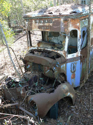 Old Mail Truck Out in the Middle of a Swamp