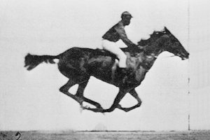 Animation of a race horse galloping taken from photographs