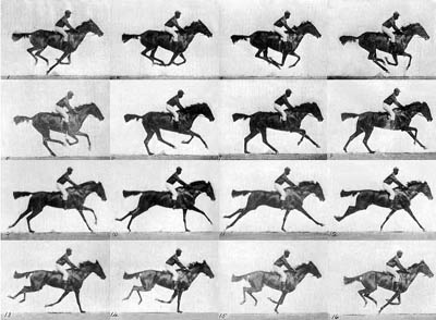 Sequence of a race horse galloping